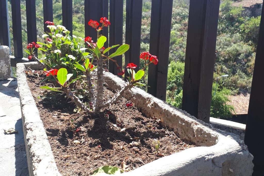 Willa Casa Tia Rosa. Costa Adeje  Zewnętrze zdjęcie